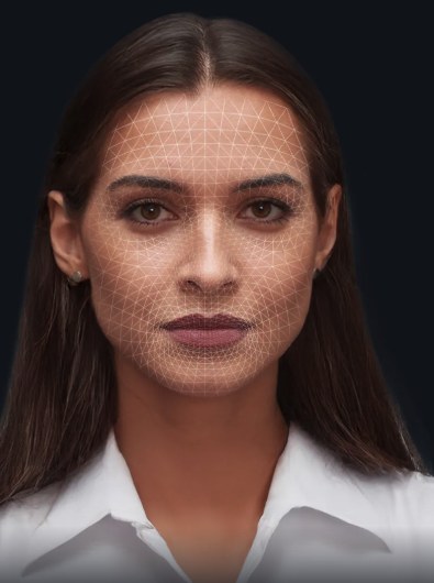 A 3D mesh fitted to the face